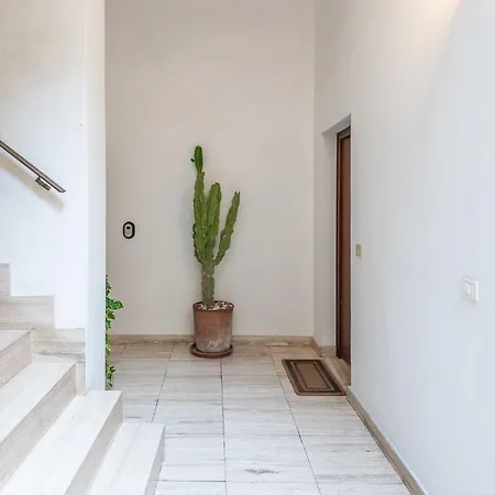 Rubichi 6 - Selection Λέτσε